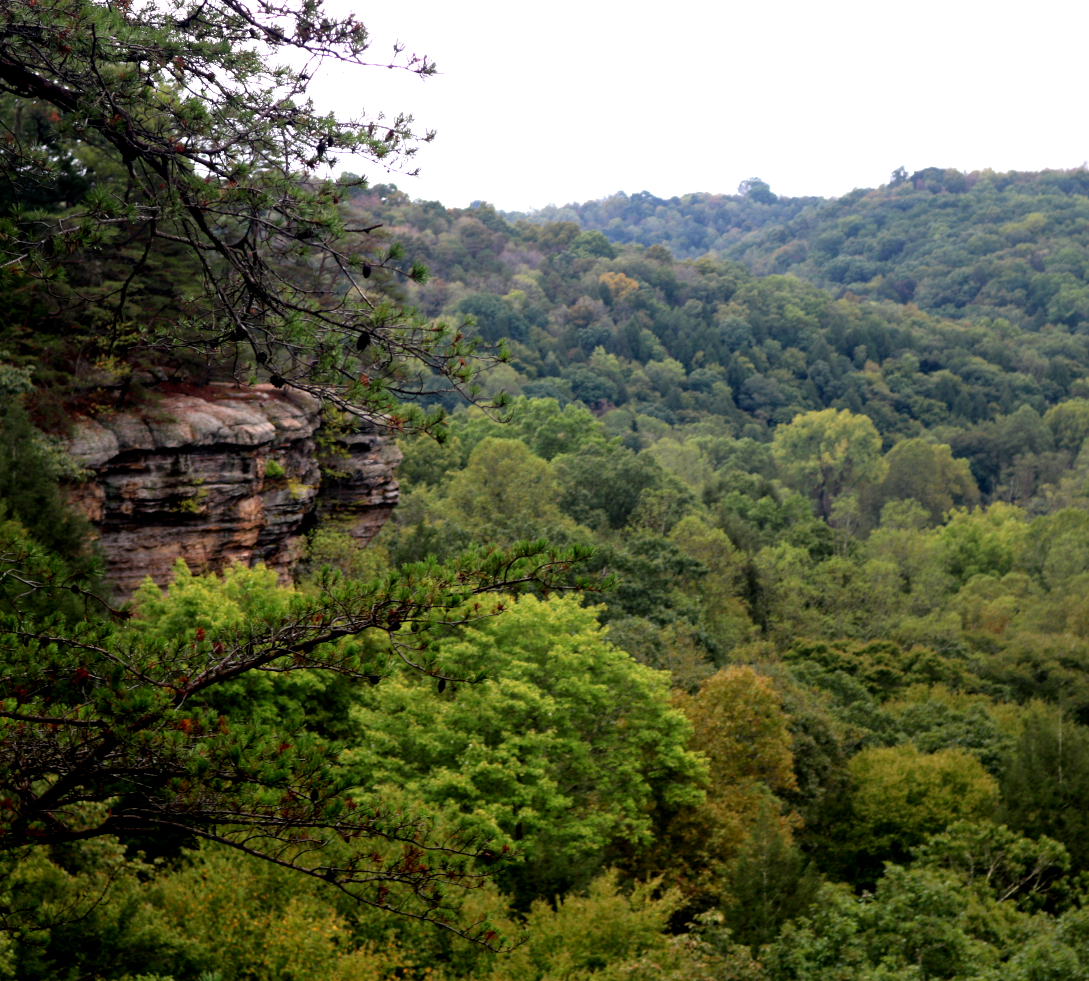 Hocking Hills Fall Colors: Conkle's Hollow in southeastern Ohio